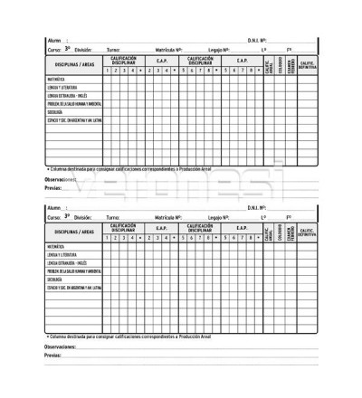 Registro Anual Por Etapa Adulto 3er. Año