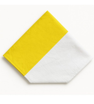 Bandera Ceremonia Papal Prim/sec.